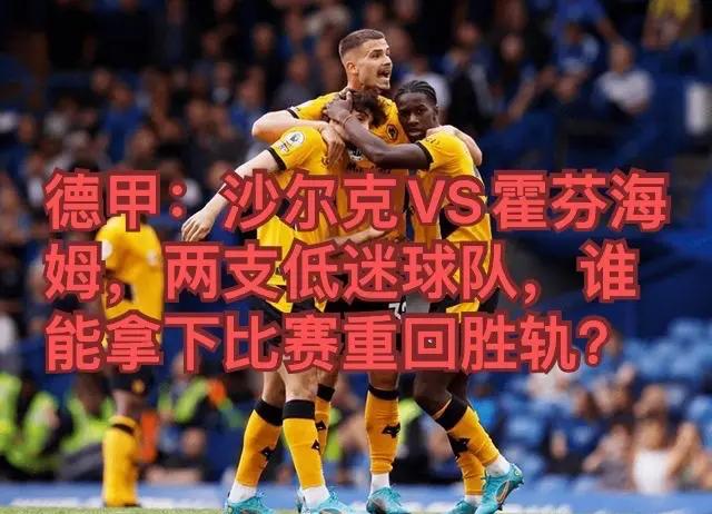 关于霍芬海姆主场作战，球队信心高涨的信息