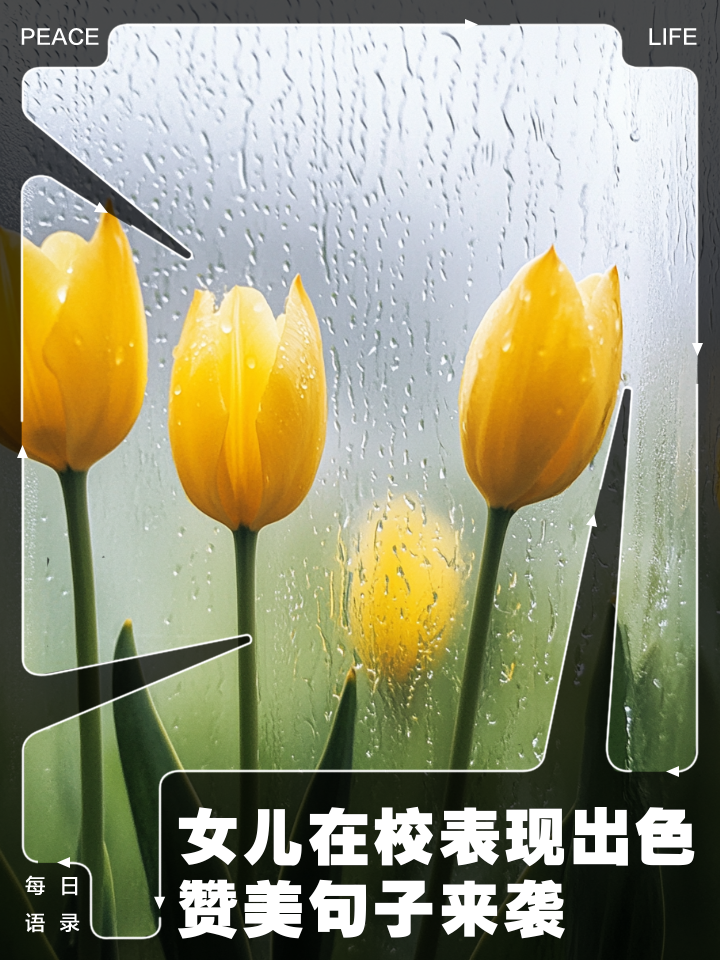 关于南非联赛精彩纷呈，成绩斐然的信息