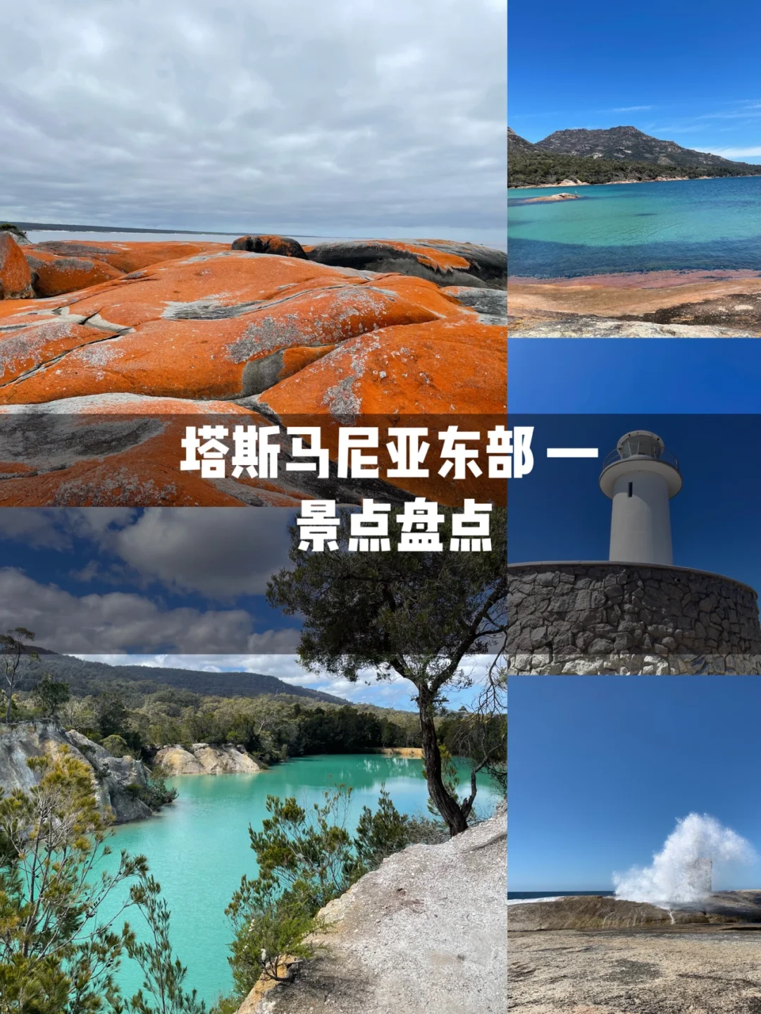 关于塔斯马尼亚联多点开花，备战进攻火力爆发的信息